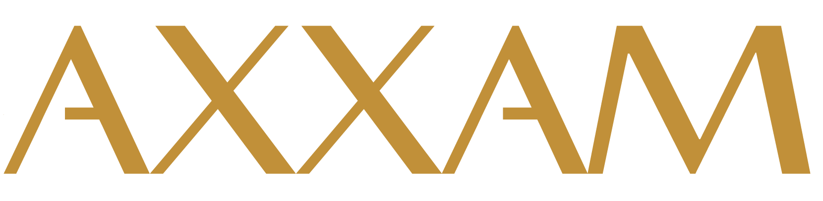 logo axxam-05 (2)